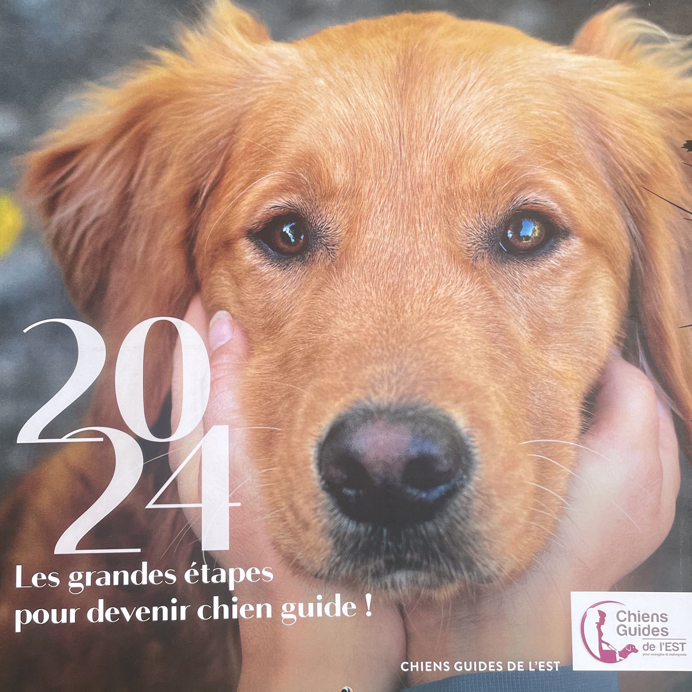 Calendrier 2024 - Chiens Guides d'Aveugles d'Île-de-France
