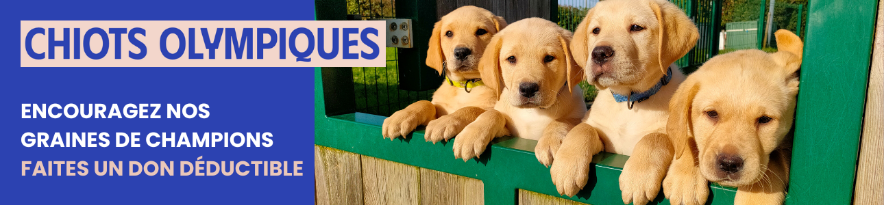 G6 x mind me - Collecte S1 24 - Module de don.png