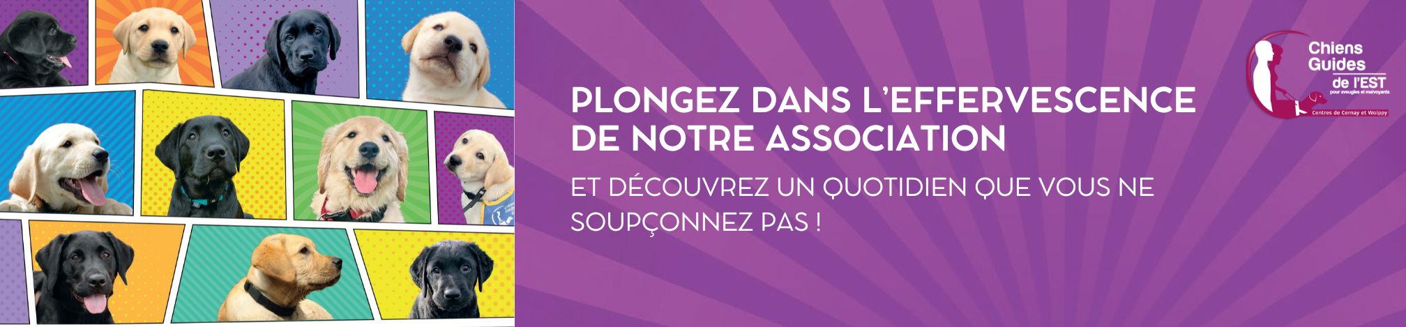 Bannière MDD relance Juin.jpg